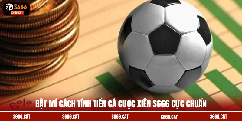 Bật mí cách tính tiền cá cược xiên S666 cực chuẩn