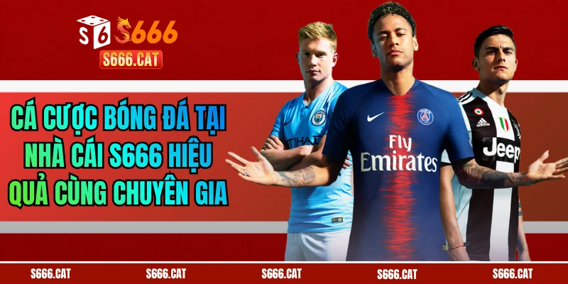 Cá Cược Bóng Đá Tại Nhà Cái S666 Hiệu Quả Cùng Chuyên Gia