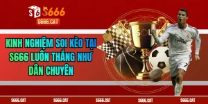 Kinh Nghiệm Soi Kèo Tại S666 Luôn Thắng Như Dân Chuyên
