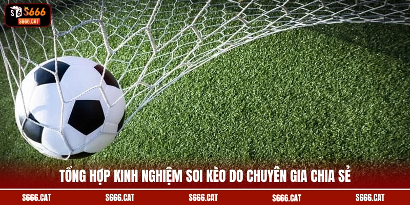 Tổng hợp kinh nghiệm soi kèo do chuyên gia chia sẻ